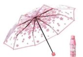 Transparent Umbrella