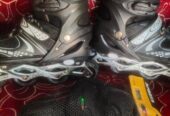Skating Shows L (39-43)