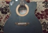 Acoustic guitar