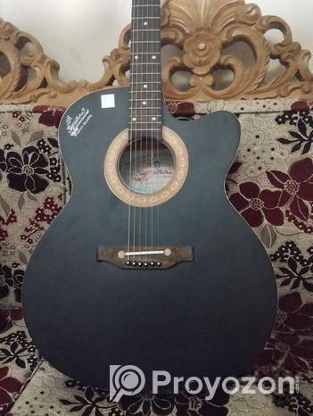 Acoustic guitar