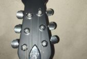 Acoustic guitar