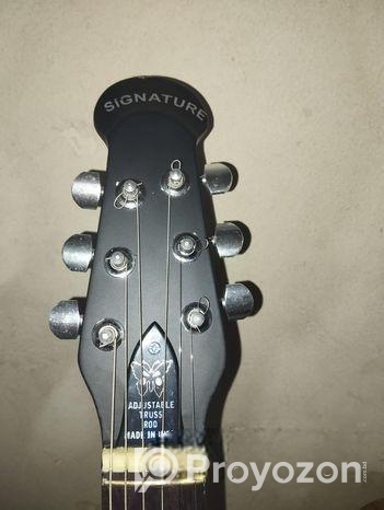 Acoustic guitar