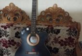 Acoustic guitar