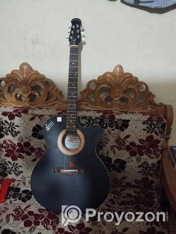 Acoustic guitar