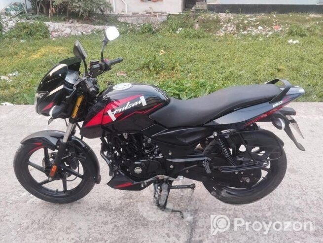 Bajaj Pulsar 150 কুষ্টিয়া নাম্বার 2023