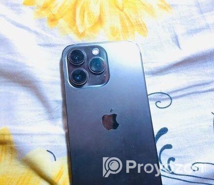 Apple iPhone 13 Pro (Used)