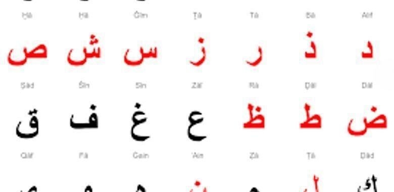 আরবি পড়াতে চাই