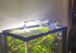 Aquarium with Sump and shoe rack