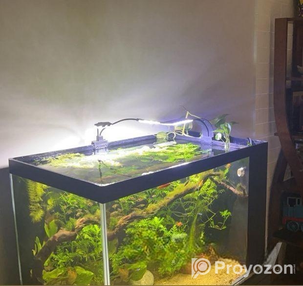 Aquarium with Sump and shoe rack