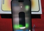 Apple iPhone 14 Pro Max 256 GB (Used)