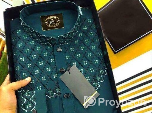 Eid Collection Panjabi