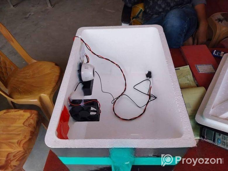 ডিমের ম্যানুয়াল ইনকিউবেটরে বিক্রি হবে