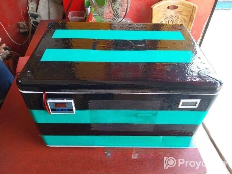 ডিমের ম্যানুয়াল ইনকিউবেটরে বিক্রি হবে