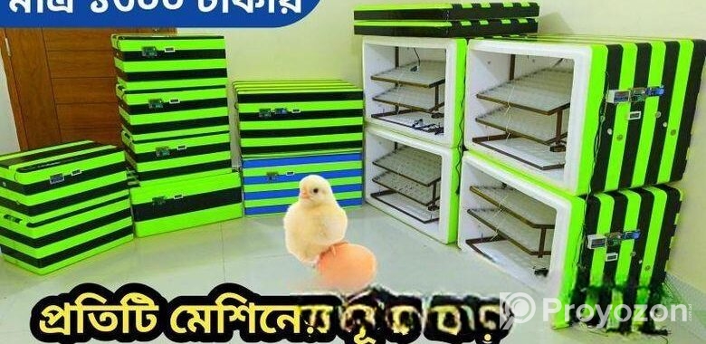 AC.DC 40 Egg incubator machine