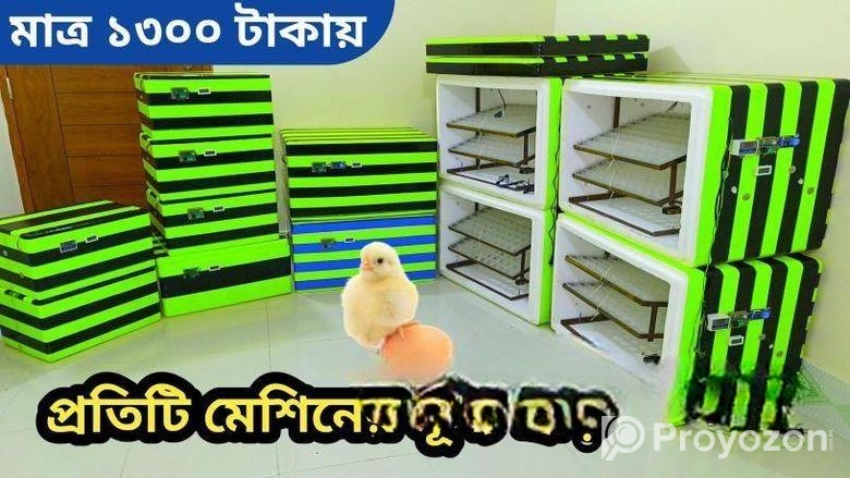 AC.DC 40 Egg incubator machine