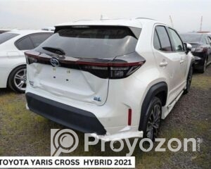 fitted-2025-07-20T105308.862_2025-07-20_10-54-18