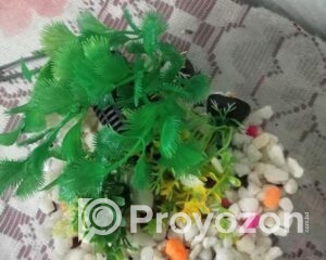 fitted-2025-07-20T110537.313_2025-07-20_11-06-53