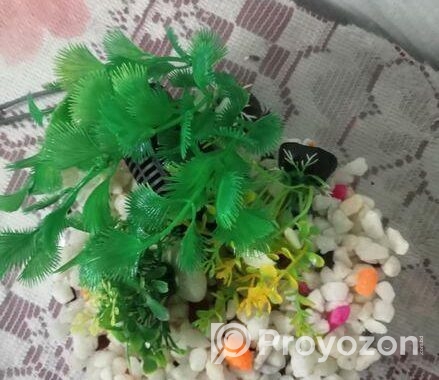 একুরিয়াম গোল শোপিস সুন্দর লাগে ফিল্টার সহ