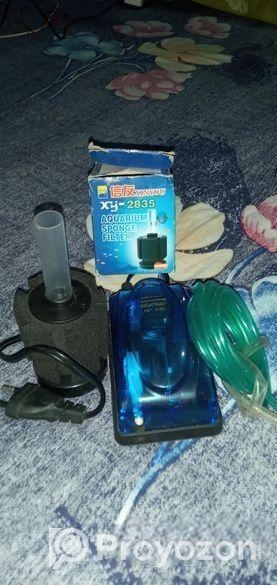 একুরিয়ামের অক্সিজেন বিক্রি হবে