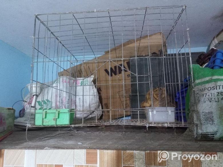 মোটা জি আই তারের খাচা