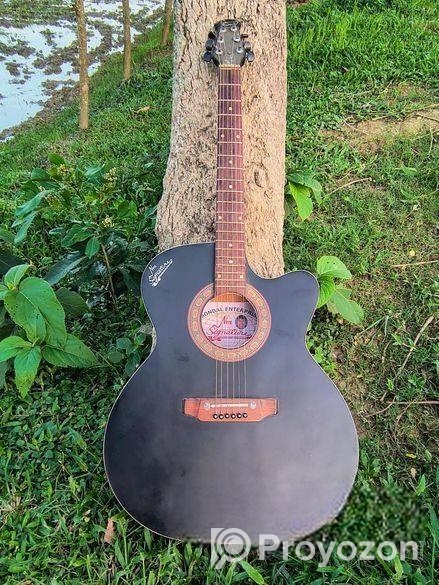 গিটারটি বিক্রি করা হবে