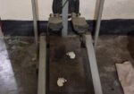 Analog treadmill