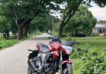 Suzuki Gixxer Monotone 2024
