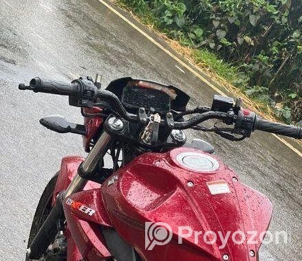 Suzuki Gixxer Monotone 2024