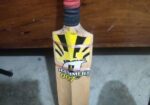 Cricket Bat