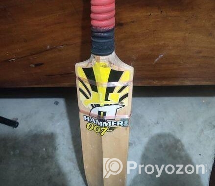 Cricket Bat