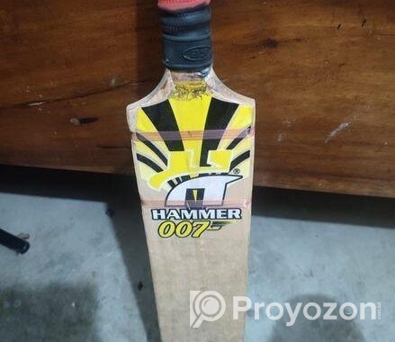 Cricket Bat
