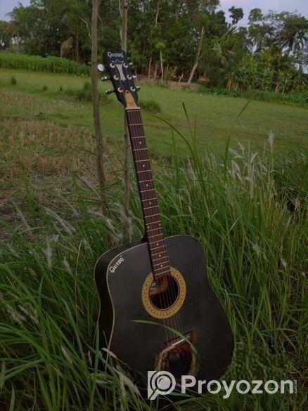 কালো কালারের গিটার