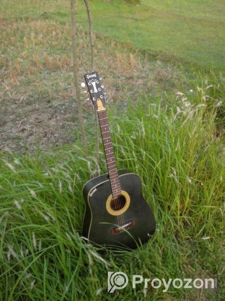 কালো কালারের গিটার