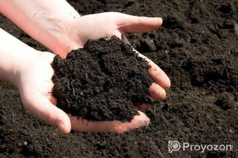 নিরাপদ ফসল উৎপাদন করতে জৈব সারের বিকল্প নাই