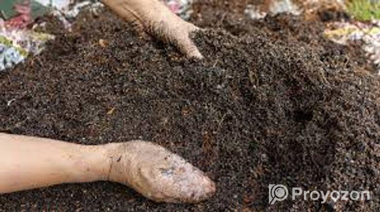 নিরাপদ ফসল উৎপাদন করতে জৈব সারের বিকল্প নাই