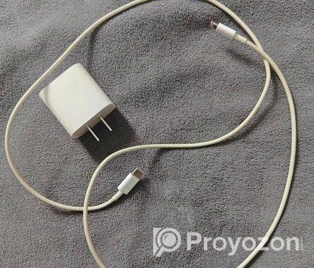 Apple IPhone Original Charger Adapter