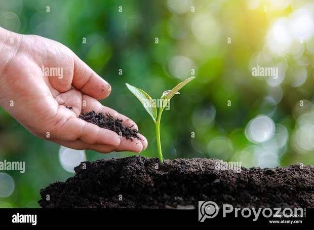 কেঁচো সার বিক্রি হবে