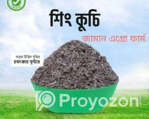 fitted-2025-07-20T131953.262_2025-07-20_13-20-38