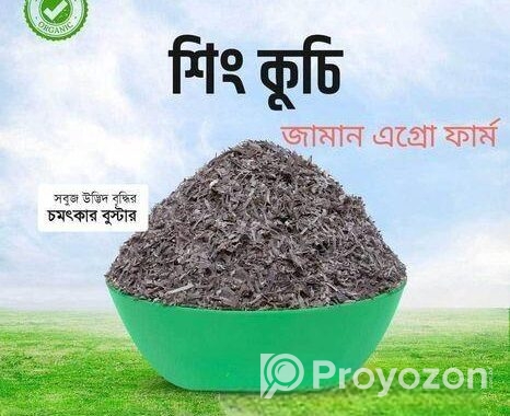 শিং কুচি বিক্রি হবে
