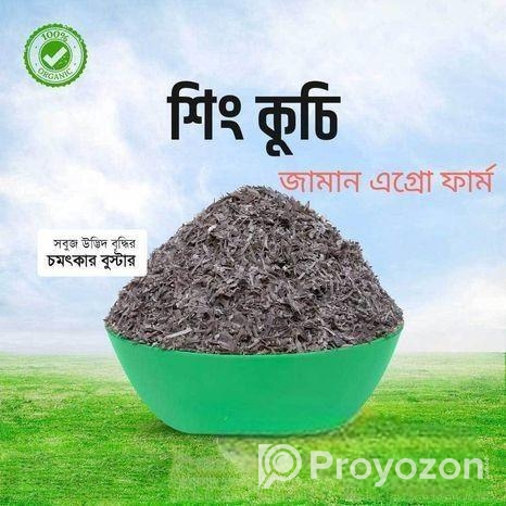 শিং কুচি বিক্রি হবে