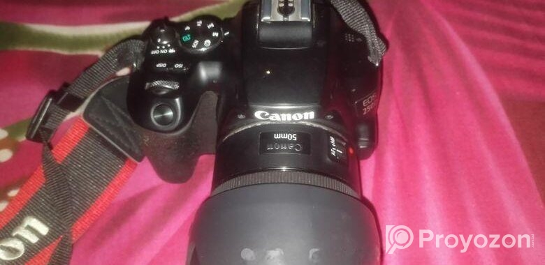 Canon 250d body and 50 mm prime lens
