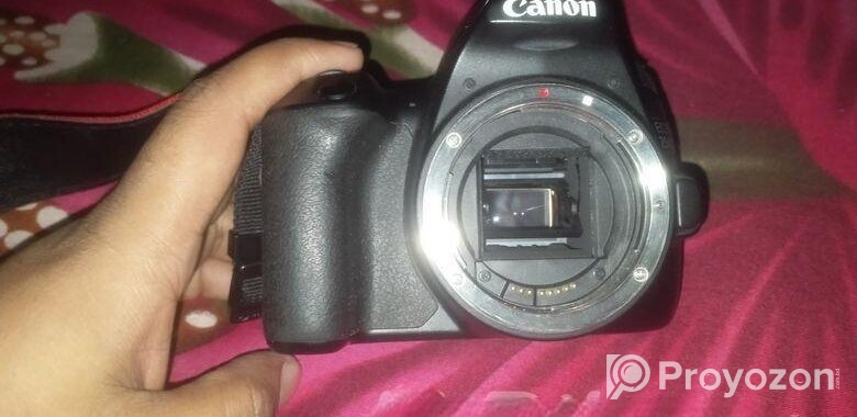 Canon 250d body and 50 mm prime lens