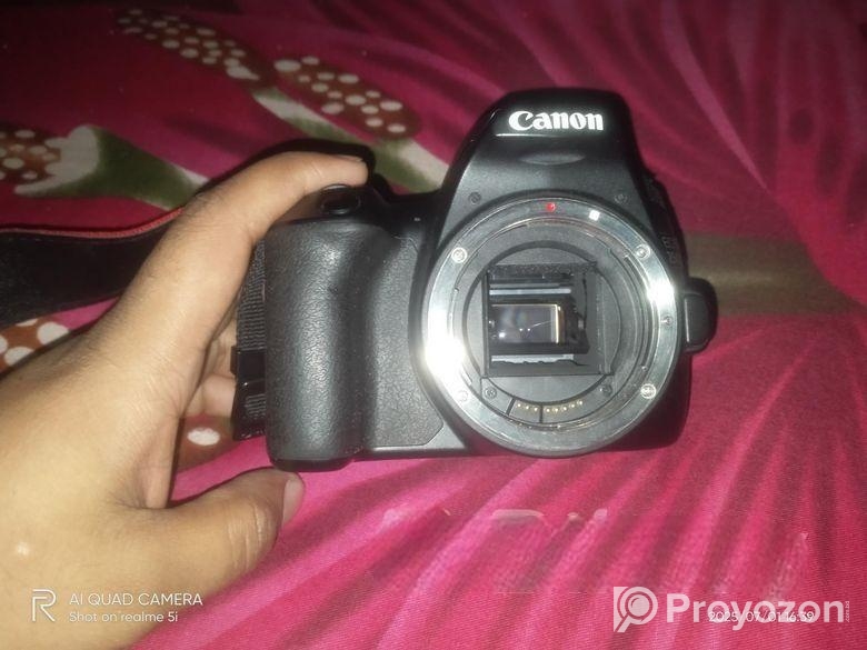 Canon 250d body and 50 mm prime lens