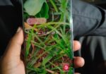 Realme 10 Pro Plus 8+128 (Used)