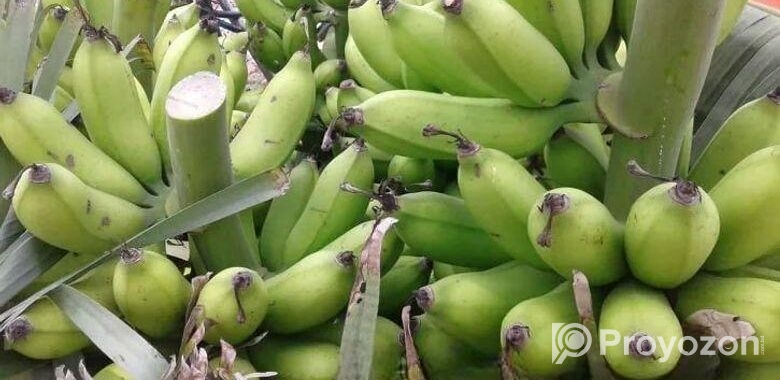 সবরী কলা গ্রামের