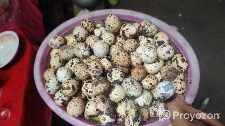 কোয়েল পাখির ডিম