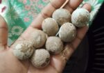সুপাড়ি/সুপারি/দেশি সুপারি-