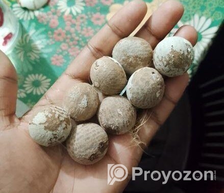 সুপাড়ি/সুপারি/দেশি সুপারি-