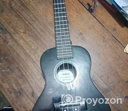 Ukulele sell hobe