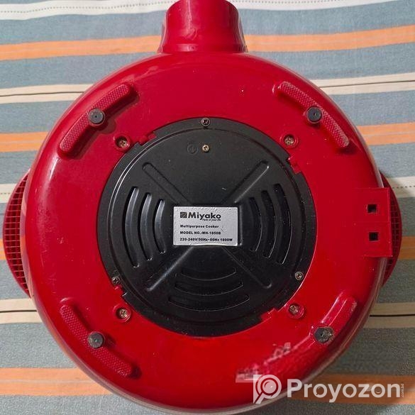 Multi-cooker (curry)